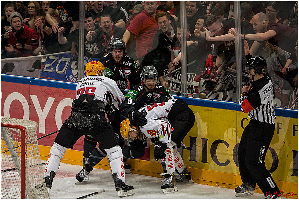 DEL, Koelner Haie - Fishtown Pinguins Bremerhaven, 29.01.2017